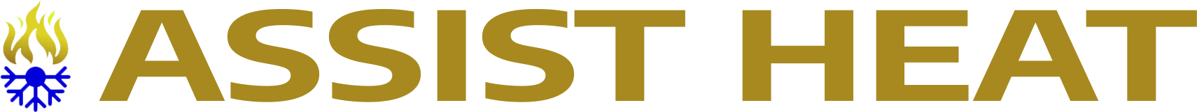 website logo